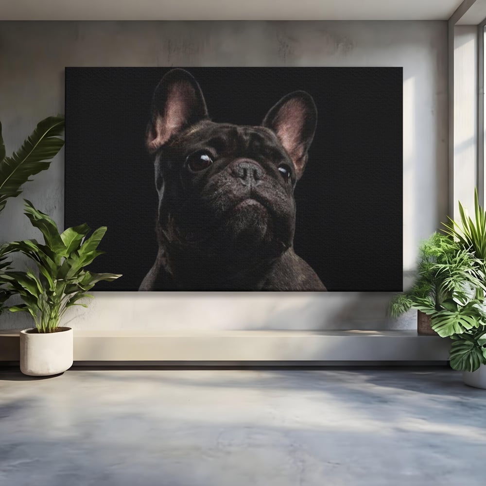 Tablou canvas cu tablou canvas cu bulldog in umbra, fara rama, pe sasiu de lemn
